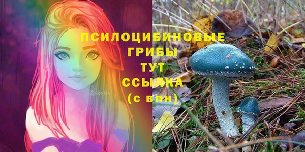 COCAINE Абаза