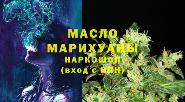 гашик Алексеевка